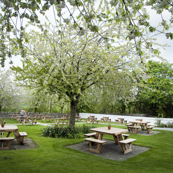 Family Fun Day Crown & Anchor Beer Garden